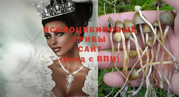 мескалин Богданович