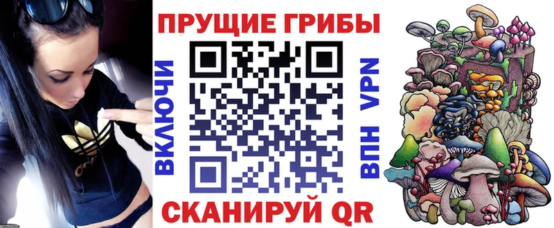 наркошоп  OMG ссылки  Галлюциногенные грибы GOLDEN TEACHER  Волжский 